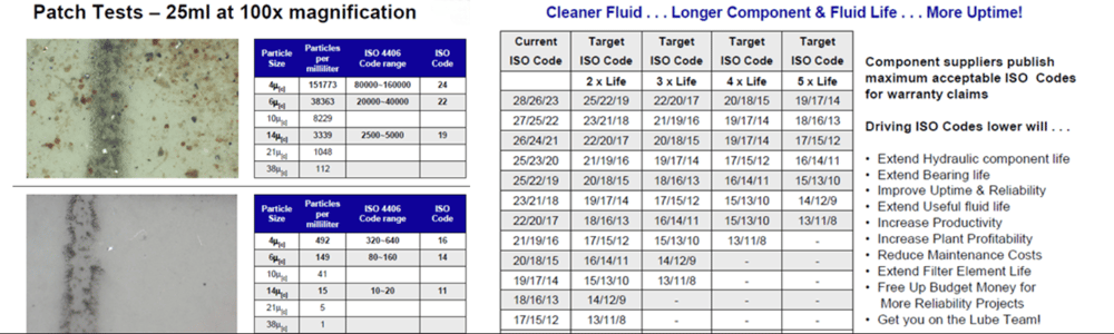 Varnish Remediation - Figure 4